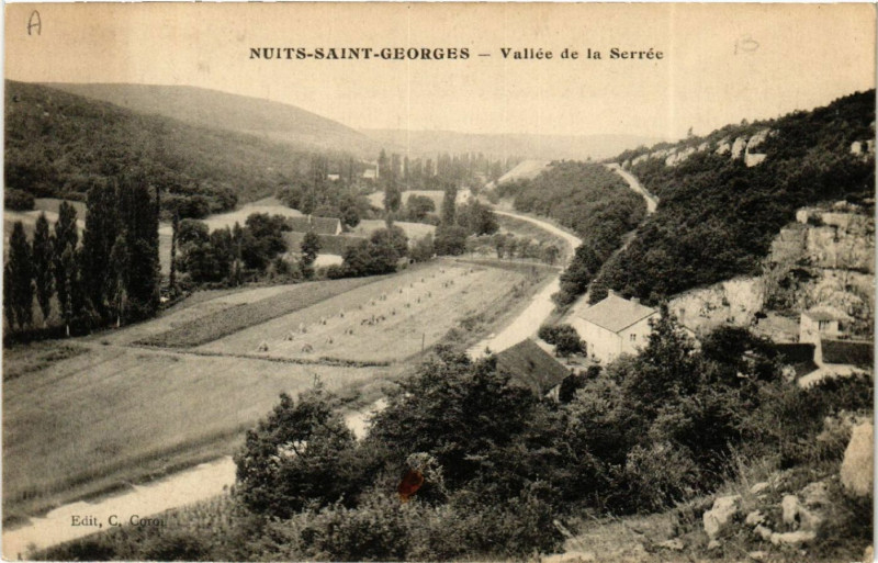 Carte postale ancienne Nuits-Saint-Georges - Vallée de la Serrée à Nuits-Saint-Georges