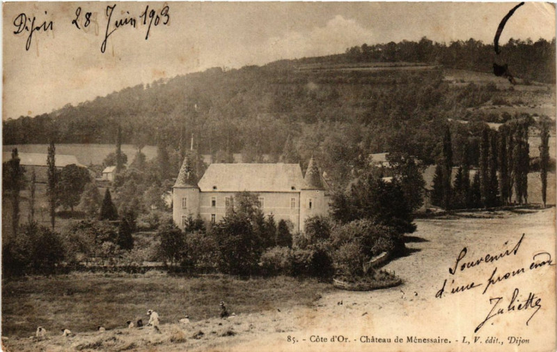 Carte postale ancienne Cote-d'Or- Chateau de Ménessaire à Ménessaire