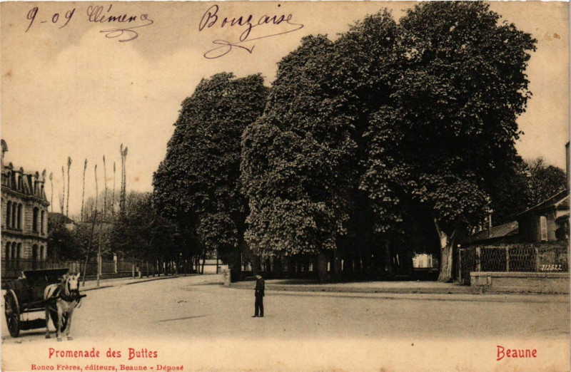 Carte postale ancienne Promenade des Buites - Beaune à Beaune
