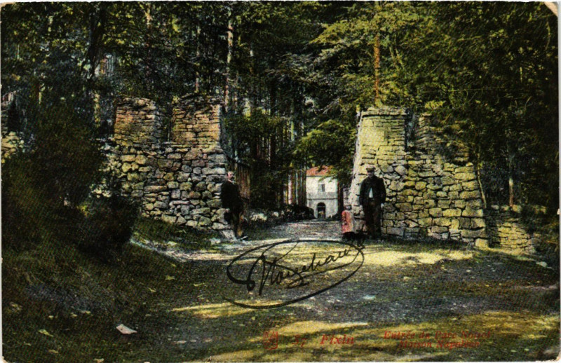 Carte postale ancienne Fixin - Entrée de Parc Noiset à Fixin