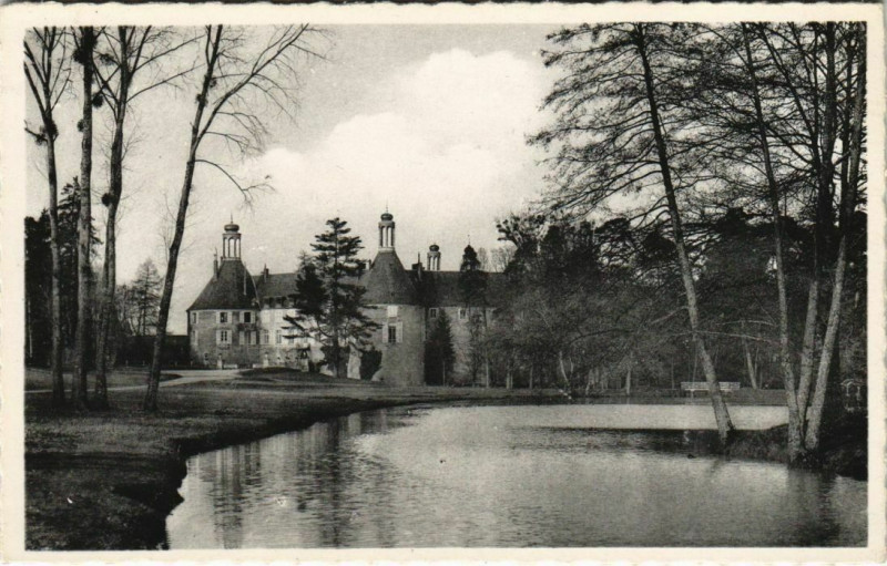 Carte postale ancienne Saint-Fargeau - Piece d'eau et Chateau à Saint-Fargeau