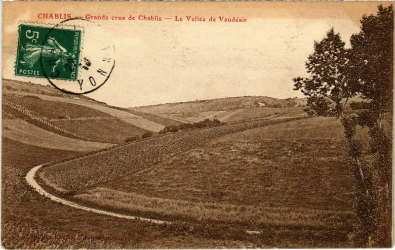 Carte postale ancienne Chablis - Grands crus de Chablis - La Vallée de Vaudesir à Chablis
