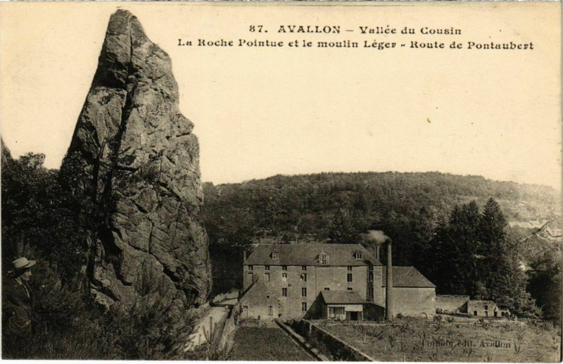 Carte postale ancienne Avallon - Vallée du Cousin à Avallon