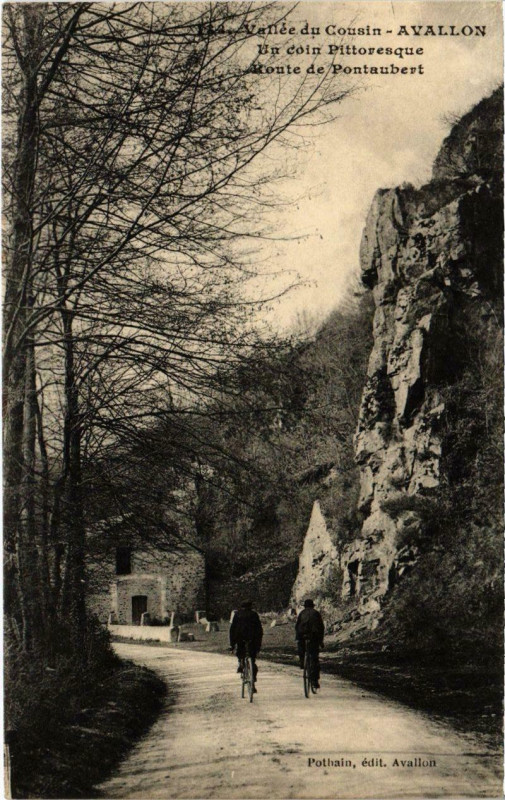 Carte postale ancienne Avallon - Vallée du Cousin à Avallon
