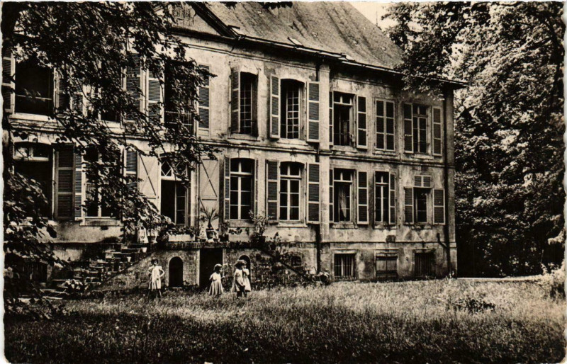 Carte postale ancienne Ravieres - Le Chateau - Face Nord France à Ravières