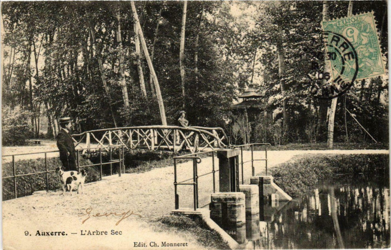 Carte postale ancienne Auxerre - L'Arbre Sec France à Auxerre
