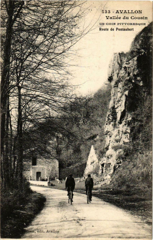 Carte postale ancienne Avallon - Vallee du Cousin - Route de Pontaubert France à Avallon