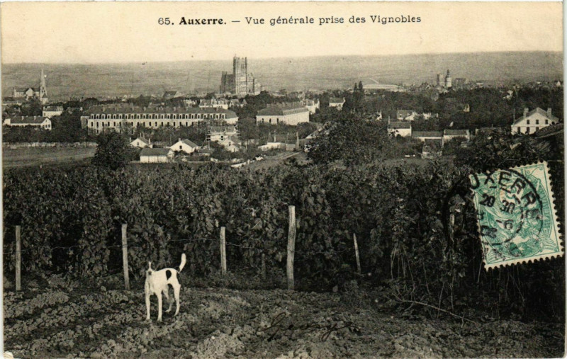 Carte postale ancienne Auxerre - Vue Generale prise des Vignobles France à Auxerre