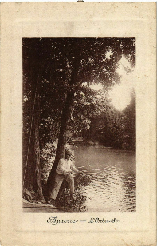 Carte postale ancienne Auxerre - L'Arbre-Sec France à Auxerre