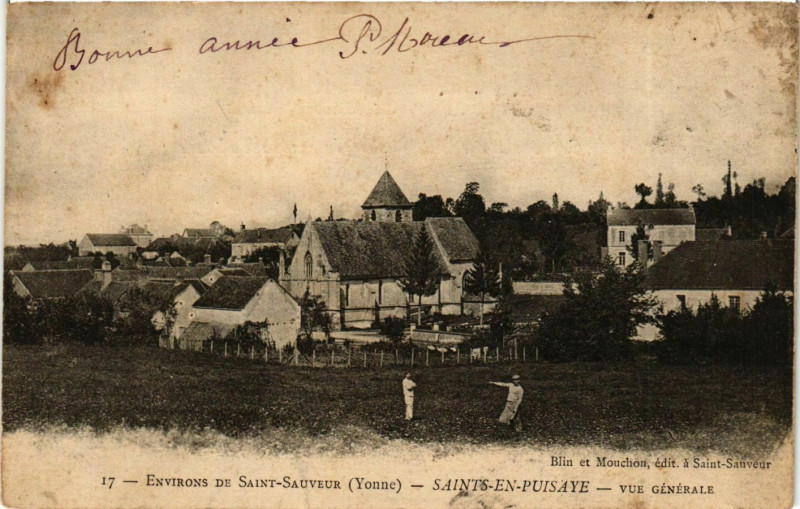 Carte postale ancienne Sts-en-Puisaye Vue générale