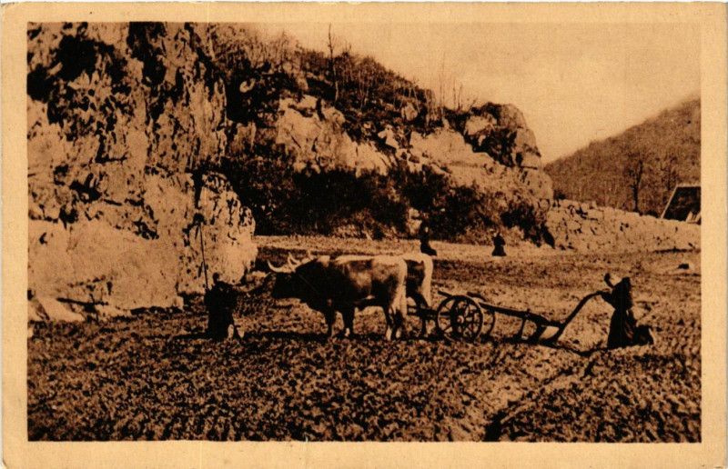 Carte postale ancienne Abbaye de la Pierre-qui-Vire - L'Angelus aux Champs