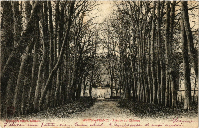 Carte postale ancienne Ancy-le-Franc - Avenue du Chateau à Ancy-le-Franc