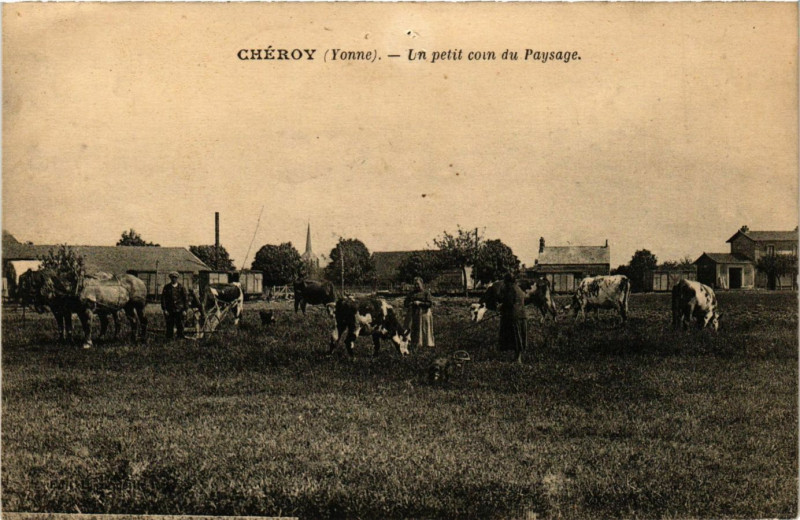 Carte postale ancienne Cheroy - Un petit coin du Paysage à Chéroy