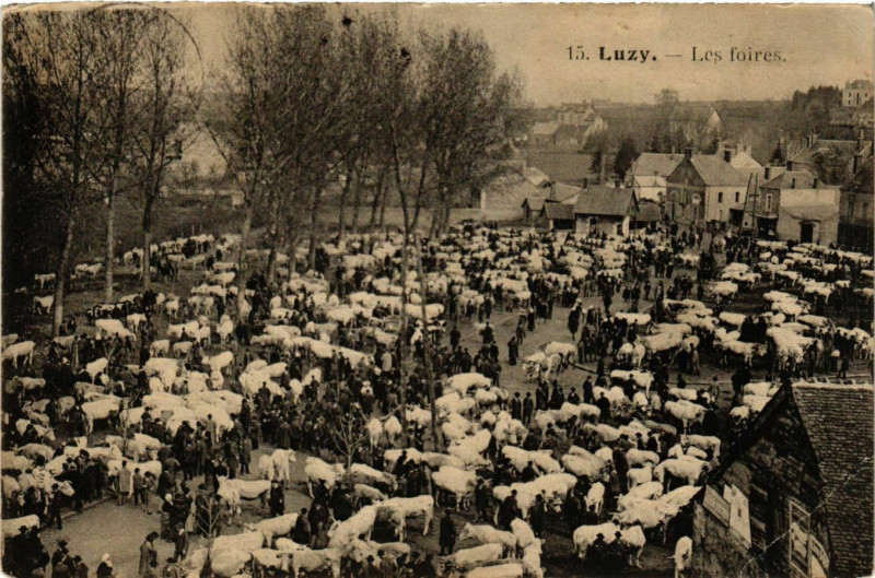 Carte postale ancienne Luzy Les foires à Luzy