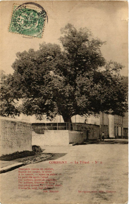 Carte postale ancienne Corbigny - La Tilleul à Corbigny