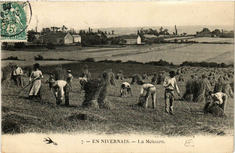 Carte postale ancienne En Nivernais - La Moisson