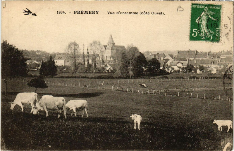 Carte postale ancienne Premery - Vue d'ensemble (cote Ouest) à Prémery