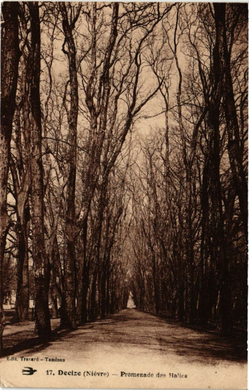 Carte postale ancienne Decize - Promenade des Halles à Decize