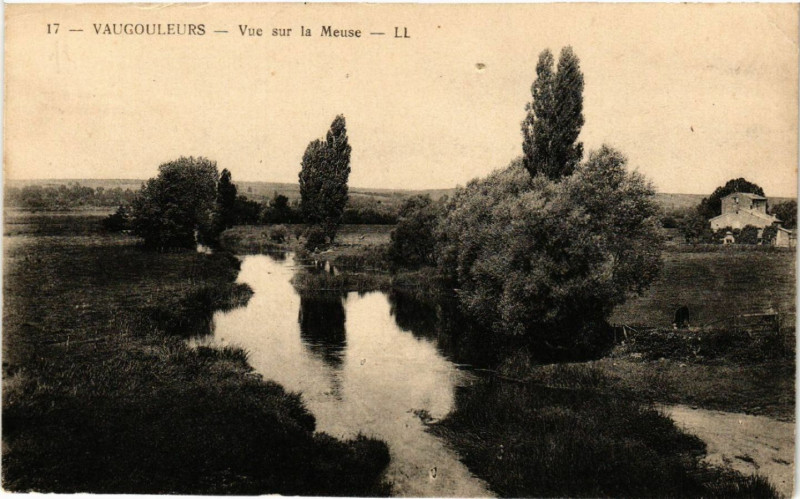 Carte postale ancienne Vaucouleurs - Vue sur la Meuse à Vaucouleurs