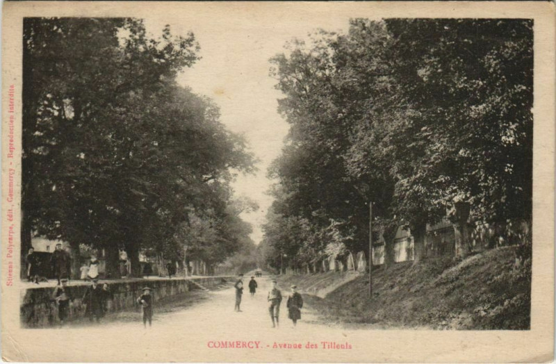 Carte postale ancienne Commercy Avenue des Tillenls à Commercy