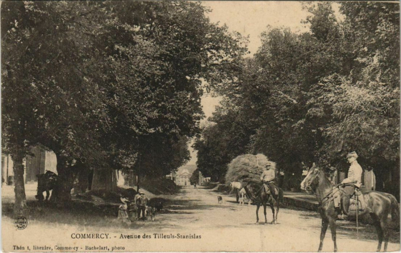 Carte postale ancienne Commercy - Avenues des tilleuls à Commercy