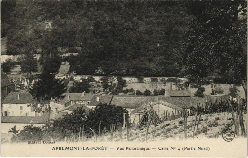 Carte postale ancienne Apremont-la-Forét - Vue Panoramique à Apremont-la-Forêt