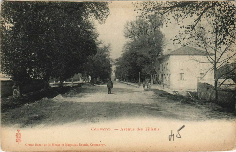 Carte postale ancienne Commercy Avenue des Tilleuls à Commercy