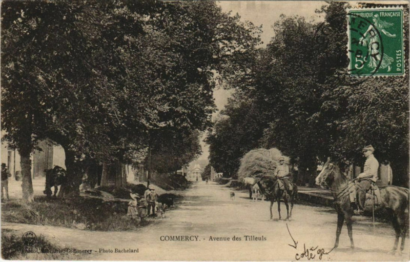 Carte postale ancienne Commercy Avenue des Tilleuls à Commercy
