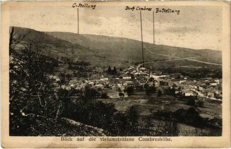 Carte postale ancienne Thillot - Blick auf die Vielumstrittene Combreshohe - Panorama à Thillot