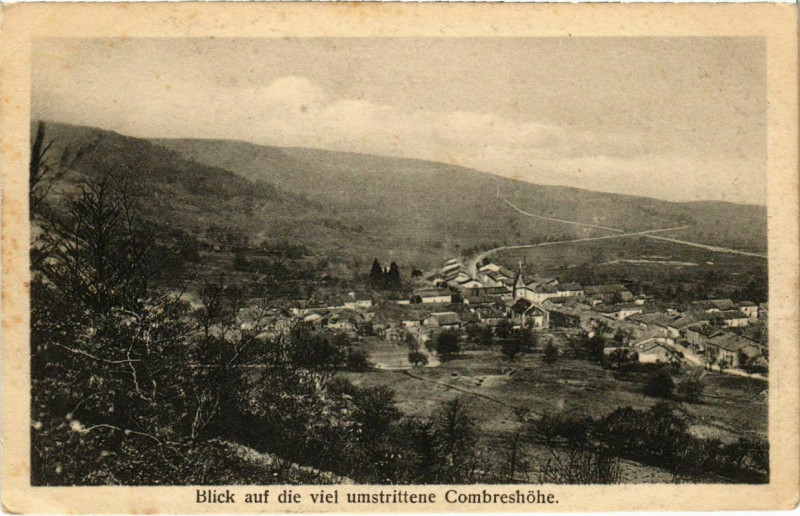 Carte postale ancienne Thillot - Blick auf die Viel Umstrittene Combreshohe - Panorama à Thillot