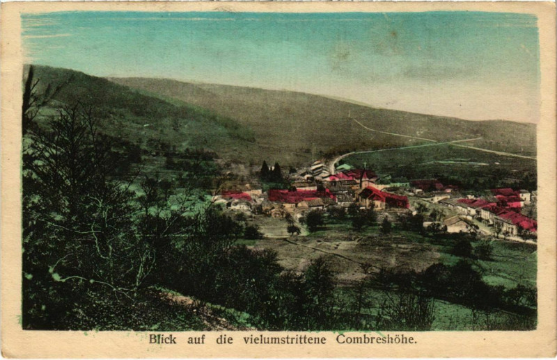 Carte postale ancienne Thillot - Blick auf die Vielumstrittene Combreshohe - Panorama à Thillot