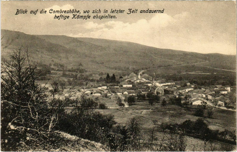 Carte postale ancienne Thillot - Blick auf die Combreshohe - Panorama à Thillot