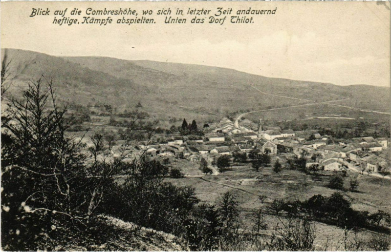 Carte postale ancienne Thillot - Panorama - Blick auf die Combreshohe à Thillot