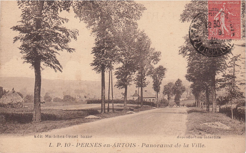 Carte postale ancienne Pernes-en-Artois - Panorama de la Ville à Pressy