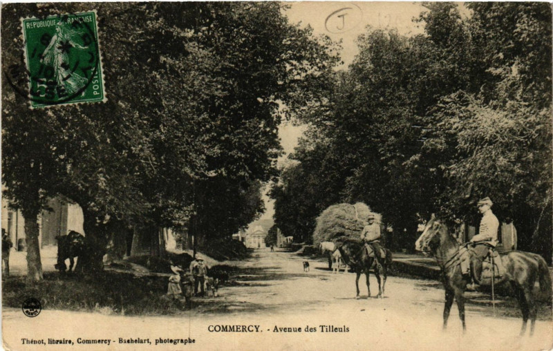 Carte postale ancienne Commercy - Avenue des Tilleuls à Commercy