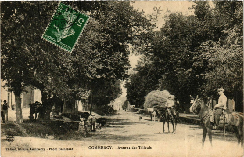 Carte postale ancienne Commercy - Avenue des Tilleuls à Commercy