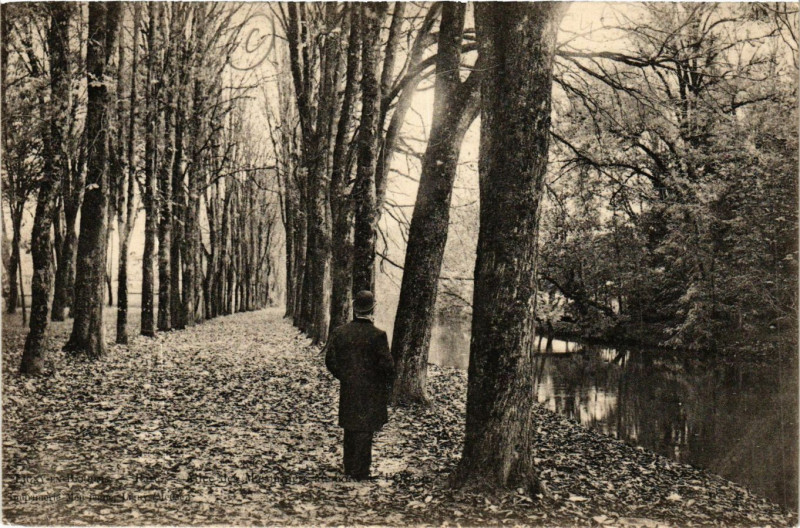 Carte postale ancienne Ligny-en-Barrois -Ligne des arbres sur les rives de la rivière à Ligny-en-Barrois