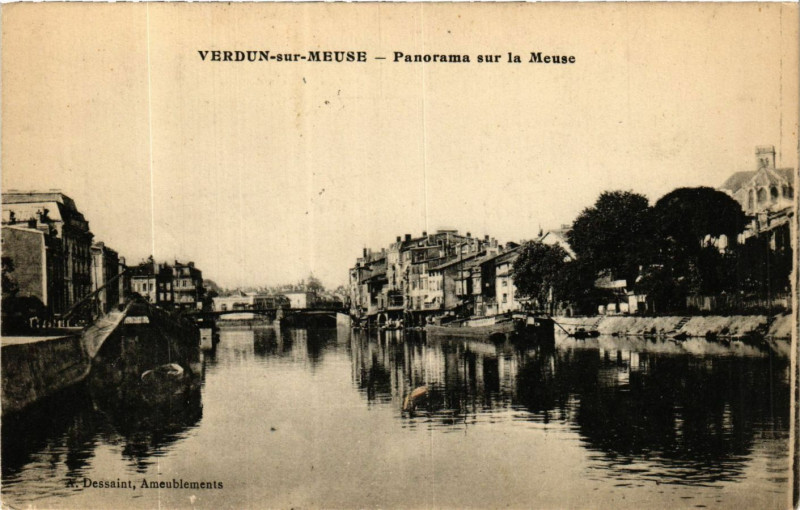 Carte postale ancienne Verdun-sur-Meuse -Panorama sur la Meuse à Verdun