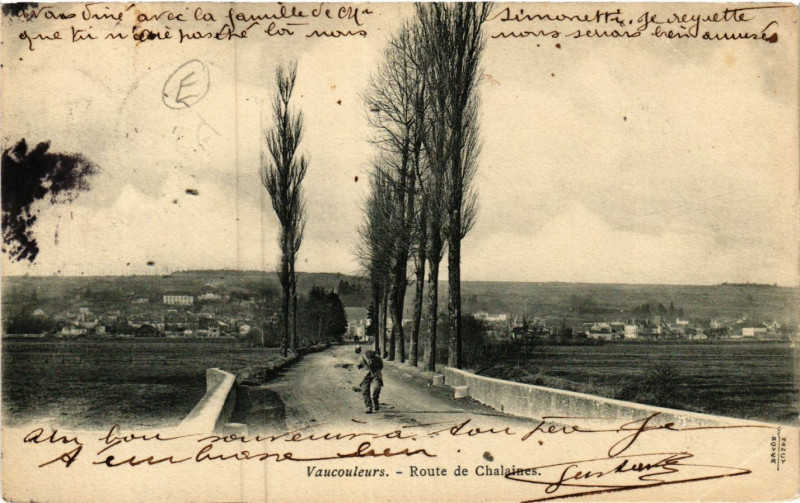 Carte postale ancienne Vaucouleurs - Route de Chalaines à Vaucouleurs