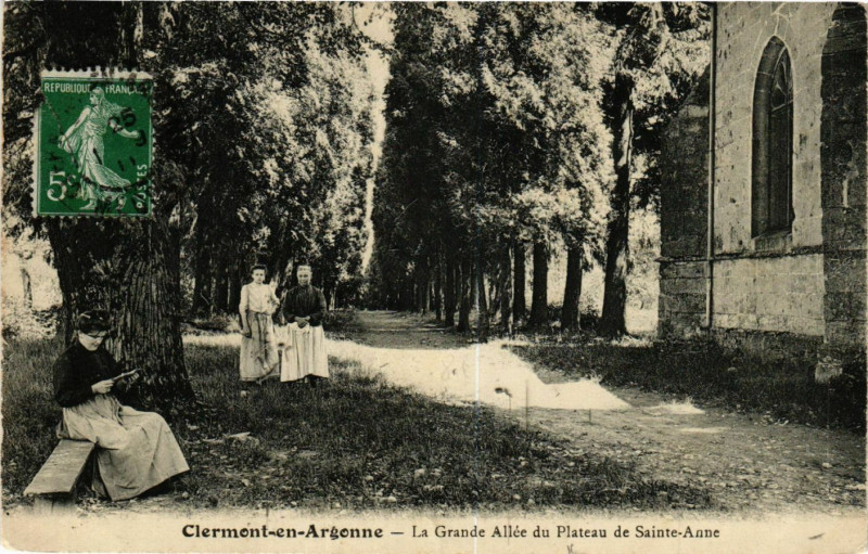 Carte postale ancienne Clermont-en-Argonne- La Grande-Allée du Plateau de Sainte-Anne à Clermont-en-Argonne