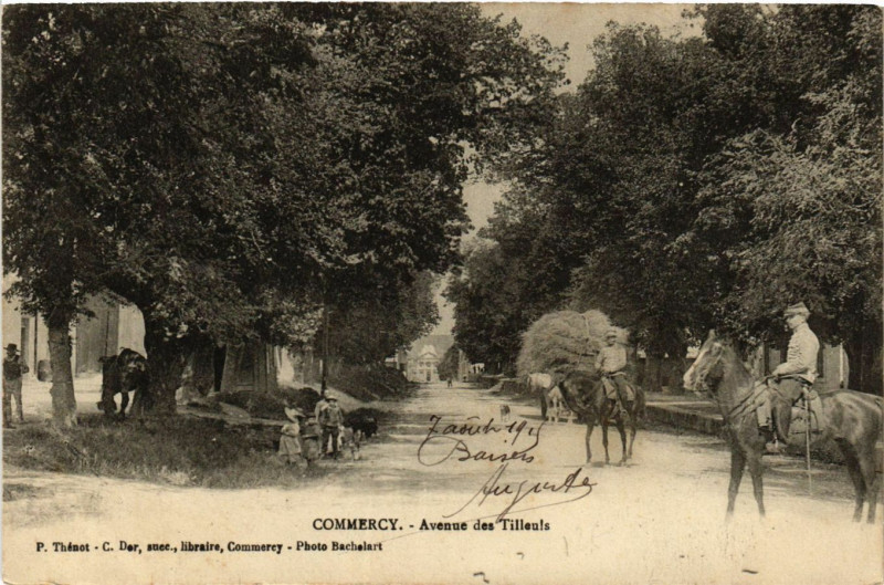 Carte postale ancienne Commercy - Avenue des Tilleuls à Commercy