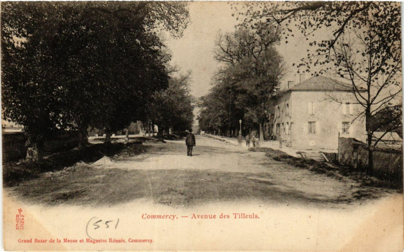 Carte postale ancienne Commercy - Avenue des Tilleuls à Commercy