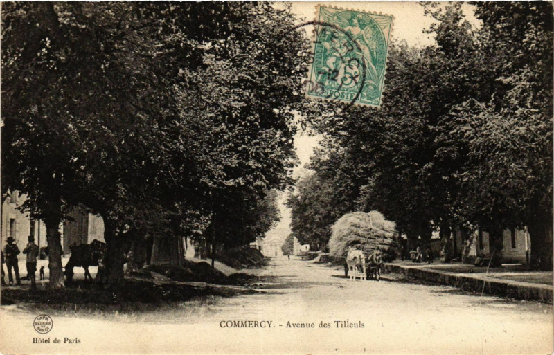 Carte postale ancienne Commercy - Avenue des Tilleuls à Commercy