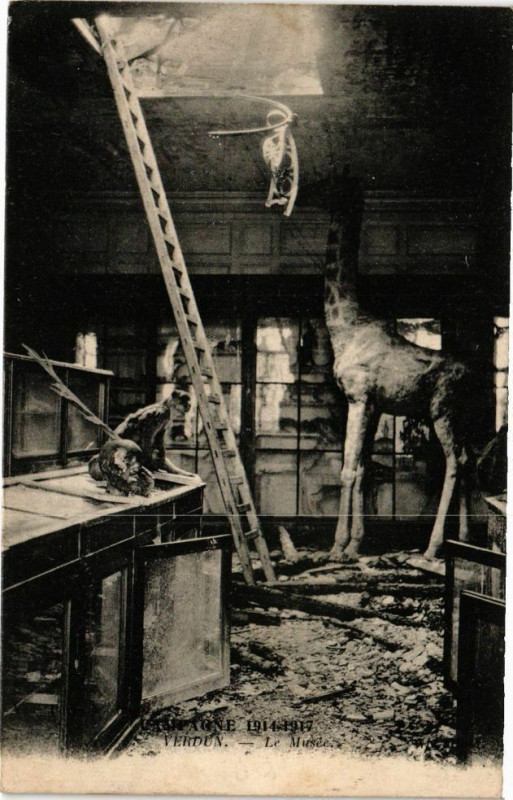 Carte postale ancienne Verdun - La Meusée à Verdun