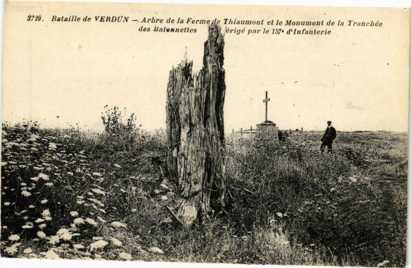 Carte postale ancienne Bataille de Vedun