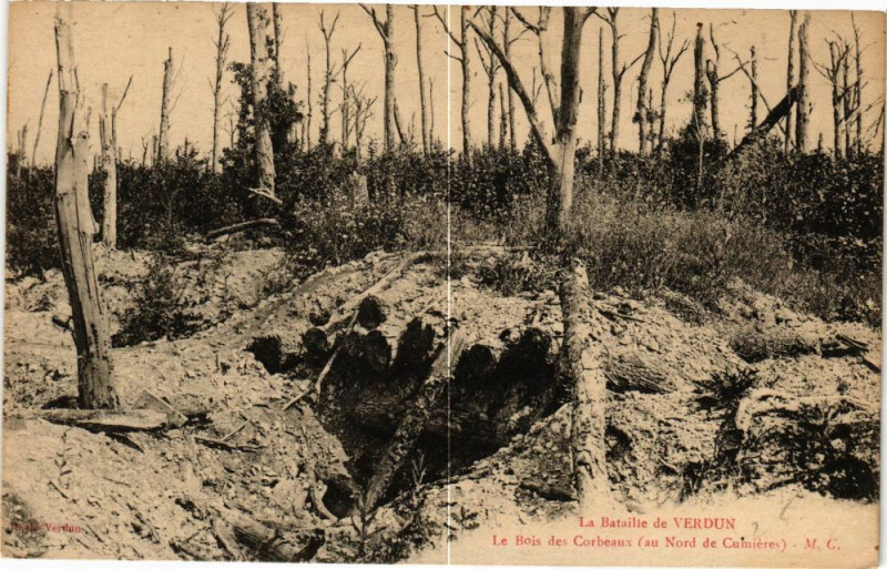 Carte postale ancienne Verdun-Le Bois des Corbeaux à Verdun