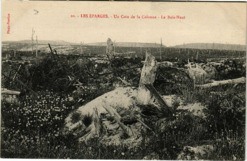 Carte postale ancienne Les Eparges-Un Coin de la Calonne-Le Bois Haut aux Éparges