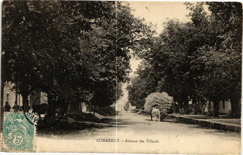 Carte postale ancienne Commercy-Avenue des Tilleuls à Commercy