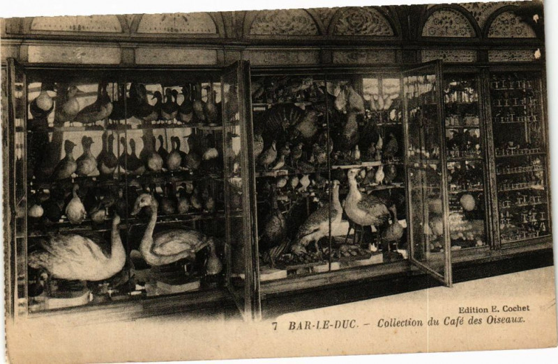 Carte postale ancienne Bar le Duc-Collection du Café des Oiseaux à Bar-le-Duc