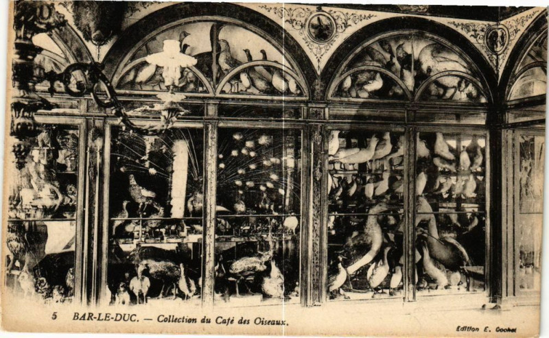 Carte postale ancienne Bar le Duc-Collection du Café des Oiseaux à Bar-le-Duc